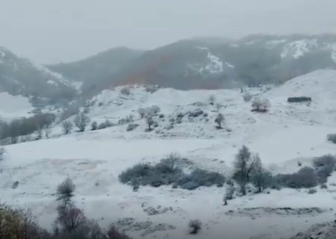 Kar yağışı Tunceli’yi beyaza bürüdü