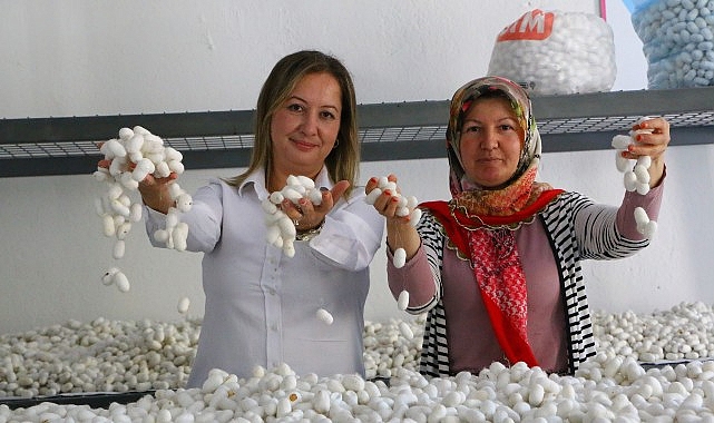 Sapadere İpek Evi’nde eğitim kursları başladı